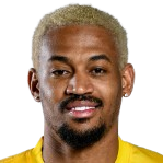 内尔松